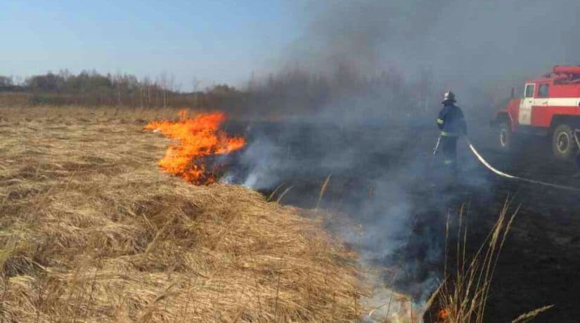 За выходные в Киевской области произошло 253 пожара из-за возгорания сухой травы