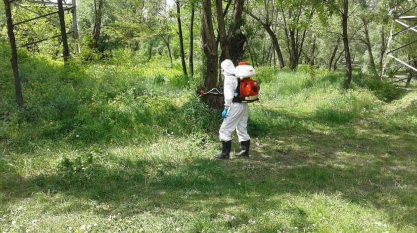 В двух парках Деснянского района проведена обработка против клещей