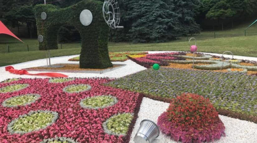 На Певческом поле открылась выставка цветов «Мир великанов»
