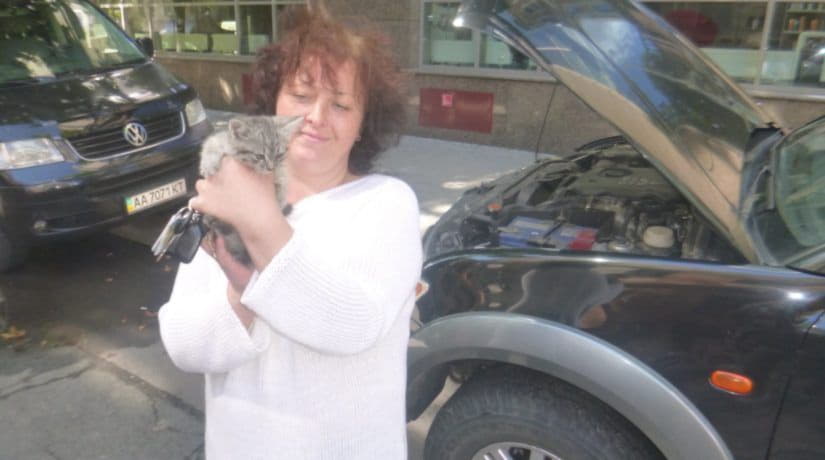В Печерском районе спасатели достали котенка из-под капота автомобиля